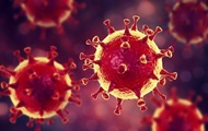 Ученые создали искусственный вирус, блокирующий коронавирус