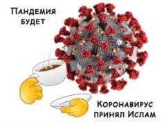  Исламское государство  объявило коронавирус  солдатом Аллаха 