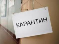 Как не растолстеть в условиях самоизоляции