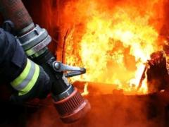С начала года пожары уничтожили 18 тысяч гектаров экосистем Украины