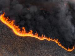 Cabinet allocates additional funds from the reserve fund to fight fires