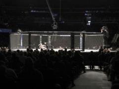 UFC определилось с датой возвращения поединков