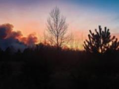 У зоні відчуження ЧАЕС знову спалахнула пожежа