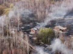 В Чернобыльской зоне появились три новых очага тления