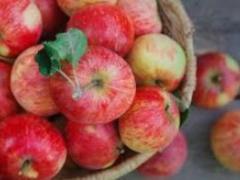 Что будет с организмом, если есть яблоки каждый день