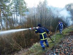 The fire in the Zhytomyr region is localized, rescuers formed a reserve in case of complications