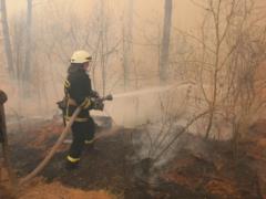 Forest fires: the Ministry of Internal Affairs does not exclude sabotage