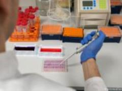 В Германии впервые разрешены клинические испытания вакцины против коронавируса