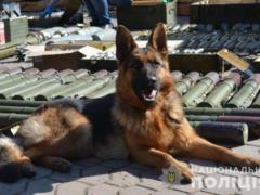 Полицейские Донетчины обезвредили склады с тысячами боеприпасов