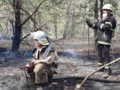 На Житомирщине продолжают тушить очаги тления травы