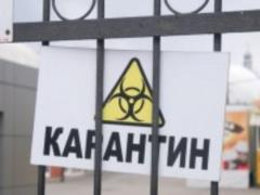 The quarantine did what was needed in Ukraine: expert opinion