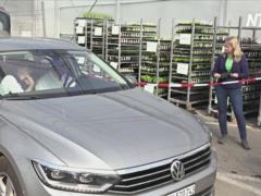 Саженцы для клиентов на автомобилях: швейцарец придумал, как пережить карантин