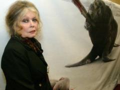 85-летняя Бриджит Бардо предстанет перед судом из-за расистских высказываний