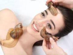 Snails on the face and other ways to get rid of wrinkles