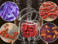 Scientists have found how intestinal microbiome is transferred from mother to child