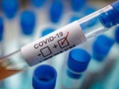 Число жертв коронавируса в мире превысило 318,5 тыс. человек
