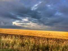 Прогноз погоды снова удивит украинцев: чего ждать на ближайшие выходные