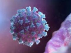 Ученые из США заявили о катастрофической смертности от коронавируса