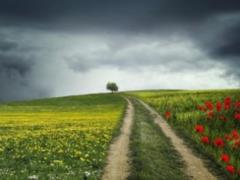 Яким буде червень: синоптики дали свій прогноз