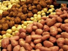 В Украину массово завозят технический картофель: безопасно ли его есть