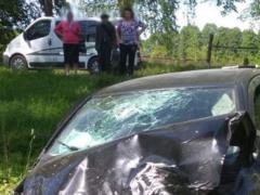 В ДТП под Житомиром погибло 4 человека