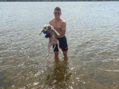 Dynamo footballer opened the beach season and bathed his dogs in the Dnieper