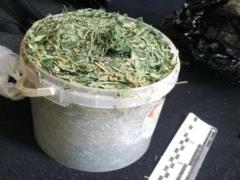 Patrolmen discovered a Kievite who was walking around the capital with a bucket of cannabis