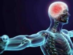 Коронавирус поражает всю нервную систему человека