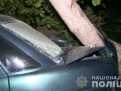 Возле Винницы пьяная женщина за рулем сбила четырех детей