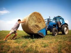 В Украине начали отмечать День фермера