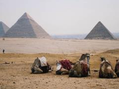 Egypt plans to cancel visa fee