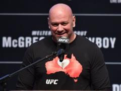 Incredible beauty: a photo of the UFC octagon appeared on Fight Island