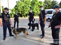 Во время отработки Мариуполя полицейские изъяли оружие и наркотики