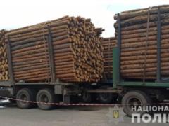 Под Харьковом правоохранители задержали  черных лесорубов 