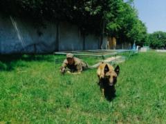В Харькове выбрали самую сплоченную, дружную, но необычную пару
