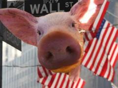 In China, discovered a new strain of swine flu