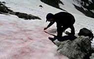 In the Italian Alps appeared pink ice