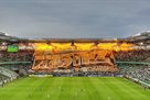 Легия стала чемпионом Польши