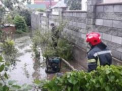 В Ровенской области ветер повалил деревья на жилые дома