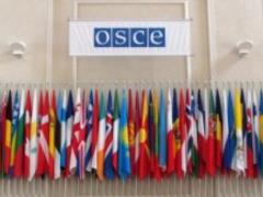 Россия устроила демарш в ОБСЕ