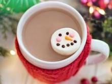 Cocoa restores age-related memory loss