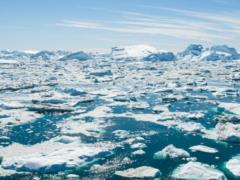 Million species of plants and animals may disappear in 50 years, - UN