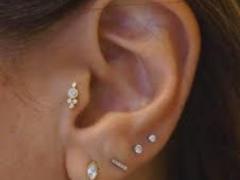 Numerous Ear Piercings: Parsing a New Trend