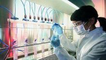 What provokes babesiosis in humans