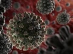 Almost 1,000 new cases of COVID-19 infection in Ukraine