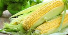 Четыре причины, по которым нужно есть больше органической кукурузы