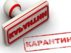 Is the quarantine introduced in Ukraine correctly: the expert gave the answer