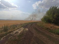 В зоне ООС мужчина пытался поджечь поле, его задержала Нацгвардия