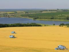 В начале недели в Украине будет прохладно, в Карпатах- дожди