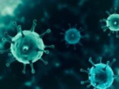 Есть как минимум шесть штаммов коронавируса: последнее открытие ученных
